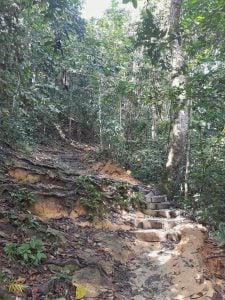 Hiking Penang Hill