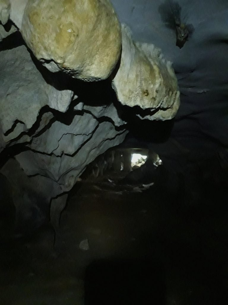 cave hike in vietnam