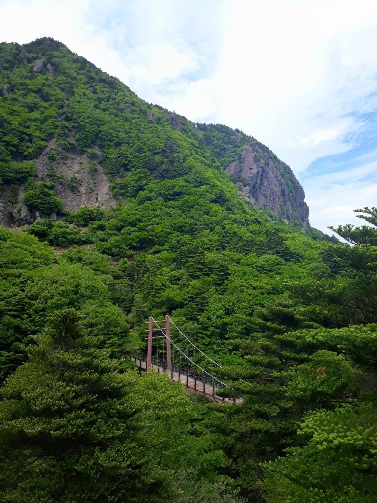 Hiking Hallasan Korea