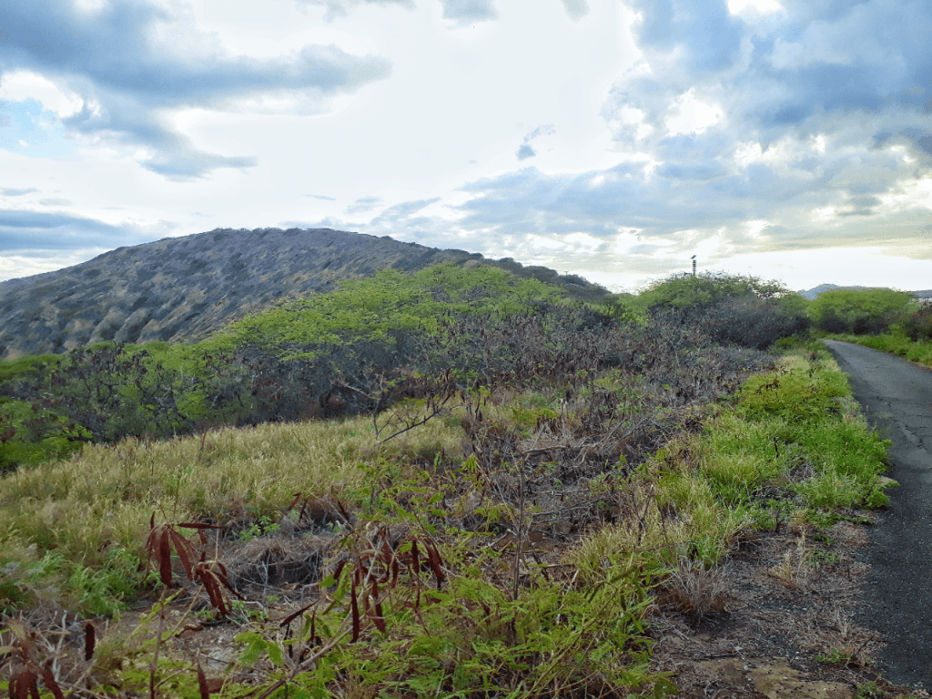 hanauma bay ridge trail