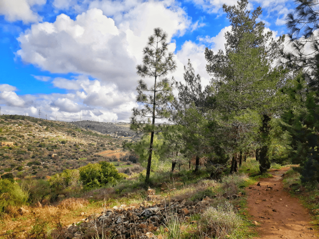 israel trail